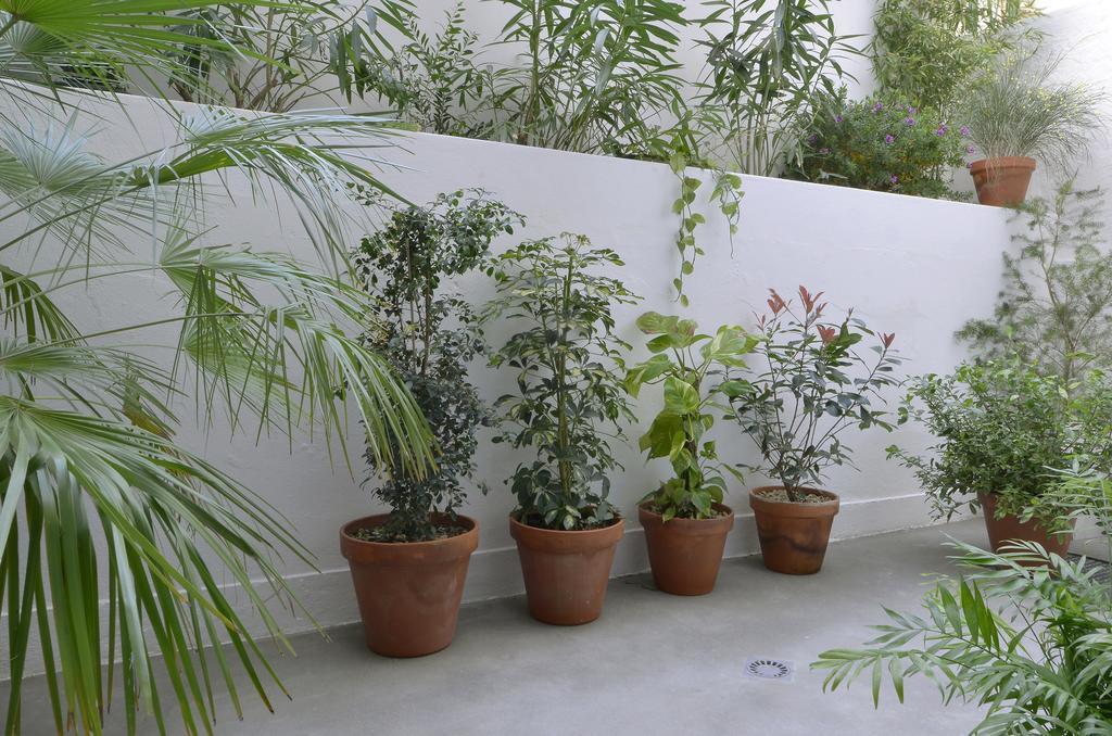 Art Gallery Apartment Lisbon Ruang foto